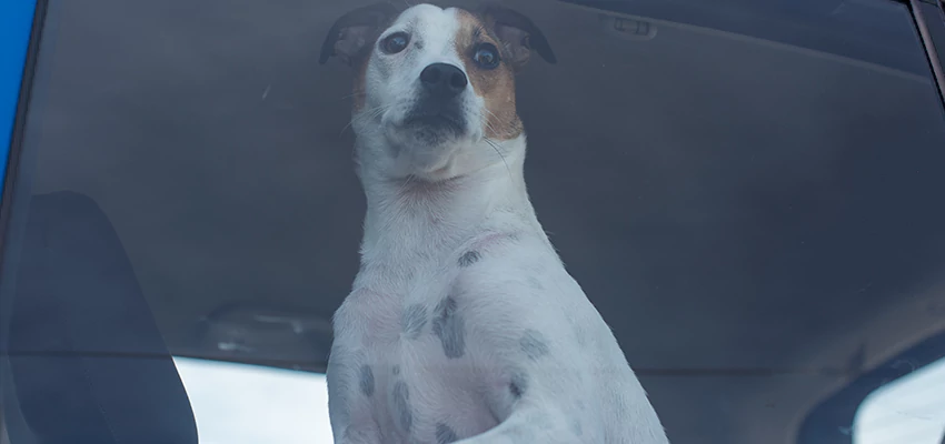 Car Lockout Solutions in Prunedale, California