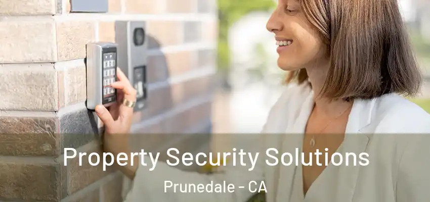  Property Security Solutions Prunedale - CA